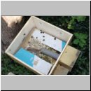 Hummelnest mit Wachsmotte-02.jpg